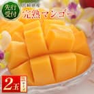 【南国宮崎県産】完熟マンゴー2L×2個