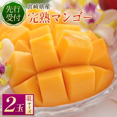 南国宮崎県産】完熟マンゴー4L×2個 | お礼品詳細 | ふるさと納税なら
