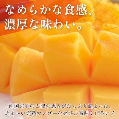 【南国宮崎県産】完熟マンゴー4L×2個