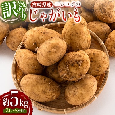 宮崎県産【訳あり】じゃがいも　約5kg