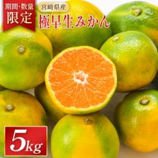 宮崎県産 極早生みかん 約5kg