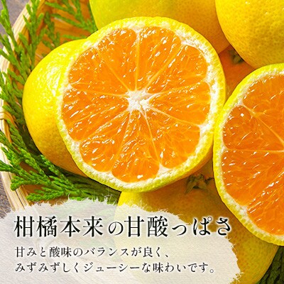 宮崎県産　極早生みかん　約5kg
