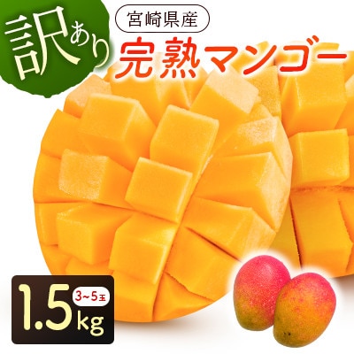 【訳あり】宮崎県産完熟マンゴー1.5kg(3玉～5玉)