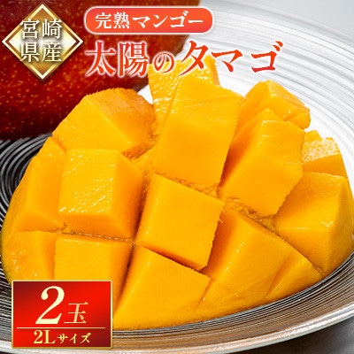 宮崎特産品 完熟マンゴー「太陽のタマゴ」2L×2個