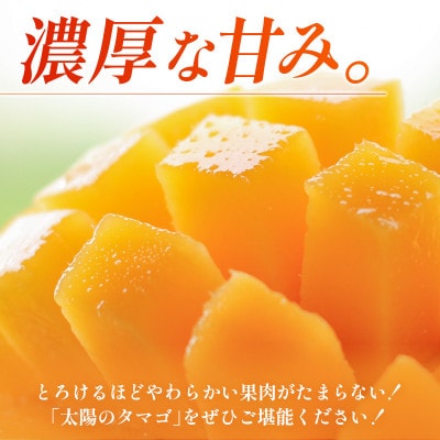 宮崎特産品 完熟マンゴー「太陽のタマゴ」2L×2個