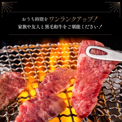 宮崎県産黒毛和牛　おまかせ焼肉セット 500g