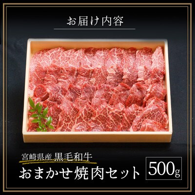宮崎県産黒毛和牛　おまかせ焼肉セット 500g