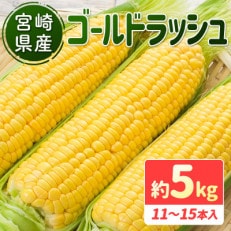 宮崎県産　南国宮崎育ち　ゴールドラッシュ　約5kg(11本～15本) | ふるさと納税のお礼品