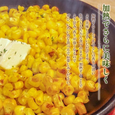 宮崎県産　南国宮崎育ち　スイートコーン　ゴールドラッシュ　約5kg(11本～15本)