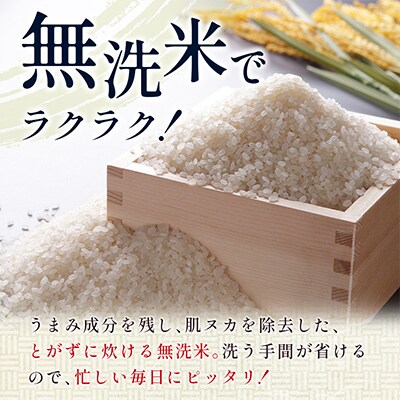 【毎月定期便】宮崎県産 無洗米ヒノヒカリ 5kg全6回