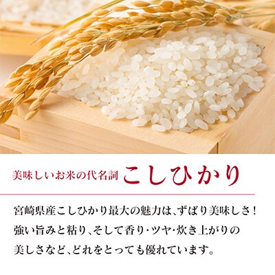 2023年2月発送開始『定期便』【無洗米】宮崎県産コシヒカリ5kg 全10回