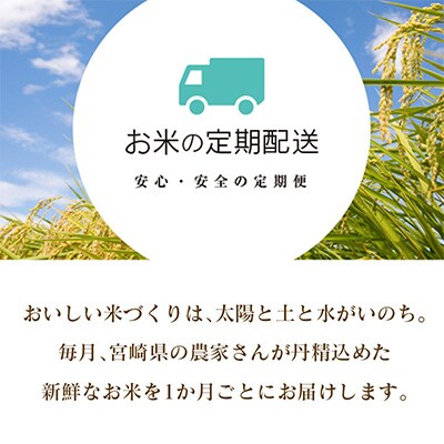 2023年2月発送開始『定期便』【無洗米】宮崎県産コシヒカリ5kg 全10回