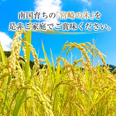 2023年2月発送開始『定期便』宮崎県産ブレンド米「宮崎の米」5.5kg 全5回