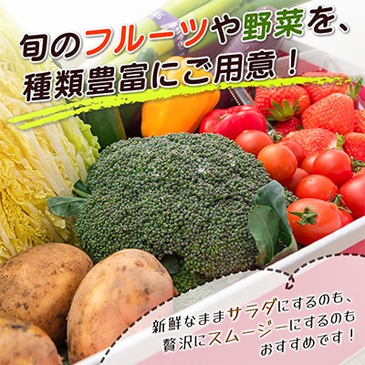 産地直送!旬の野菜・フルーツセット お試し1回お届け おまかせ詰合せ