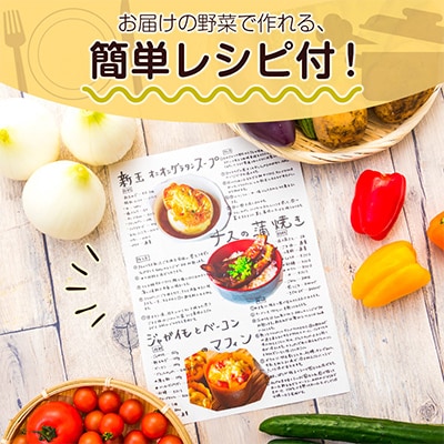 産地直送!旬の野菜・フルーツセット お試し1回お届け おまかせ詰合せ