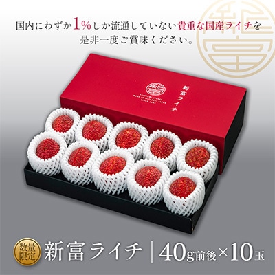 【マツコの知らない世界で紹介!】先行受付 希少!宮崎県産完熟ライチ「新富ライチ」40g前後×10玉