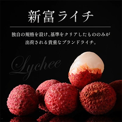 【マツコの知らない世界で紹介】先行受付 希少!国産「新富ライチpremium50」50g以上×8玉