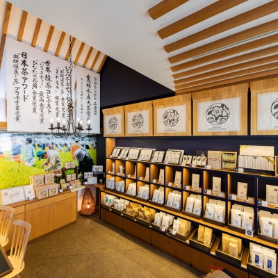 宮崎日本茶専門店　ひなたのティーbag(個包装50p入り)