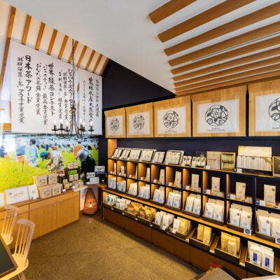 宮崎日本茶専門店 極上煎茶100g 特撰深蒸し茶100g【GF29】