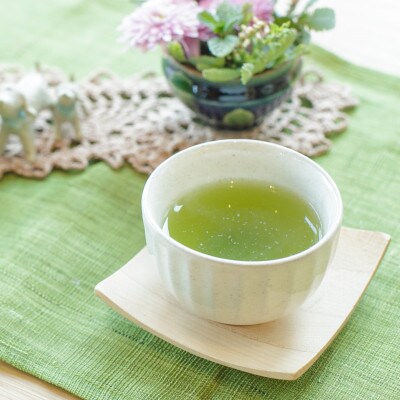 宮崎日本茶専門店 特撰煎茶100g 特撰ぐり茶100g【SGK30】