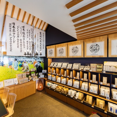 宮崎日本茶専門店 特撰煎茶100g 特撰ぐり茶100g【SGK30】