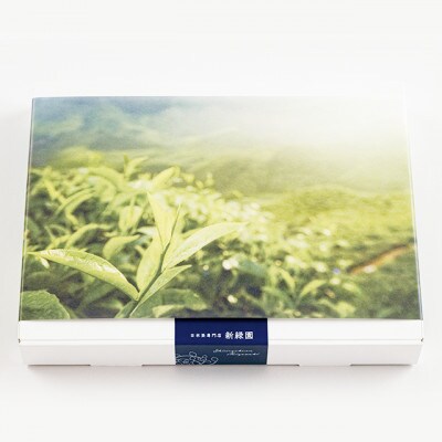宮崎日本茶専門店　極上煎茶100g×2　特撰深蒸し茶100g【SF47】
