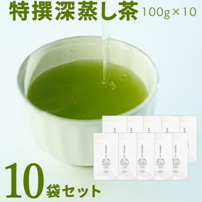 宮崎日本茶専門店　特撰深蒸し茶100g 10本セット