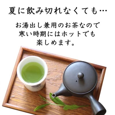 宮崎日本茶専門店　特撰水出しティーバッグ(5g×20p)　10本セット