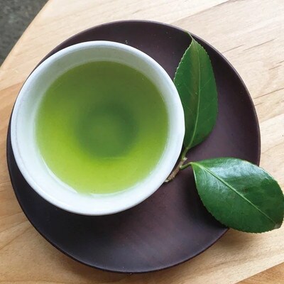 宮崎日本茶専門店　極上煎茶100g　10本セット