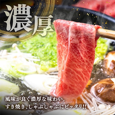 黒毛和牛ひなた　肩ローススライス　500g