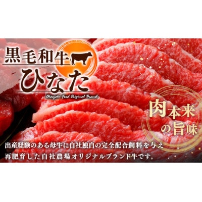 黒毛和牛ひなた　バラ焼肉　500g(新富町)