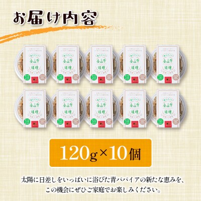 青パパイア金山寺味噌堪能セット　青パパイア金山寺味噌×10個