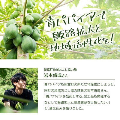 青パパイア金山寺味噌堪能セット　青パパイア金山寺味噌×10個