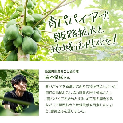 青パパイアマイルドグリーンカレー&パパイア果実茶セット(カレー5個&1.5g×20個×2)