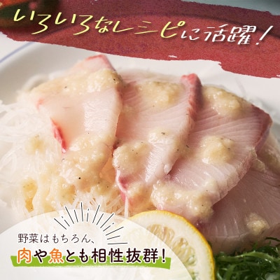 野菜にも肉にも魚にも相性抜群!レストランシェフと共同開発!青パパイアドレッシング(200ml×4本)