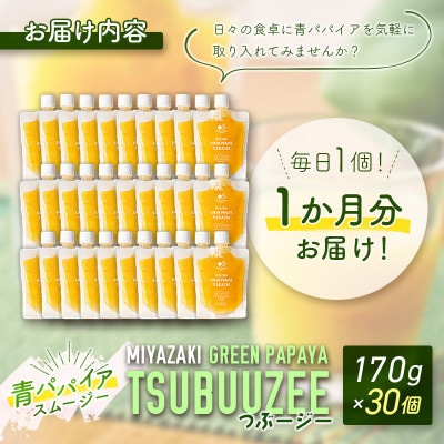 青パパイアスムージー 30個入～青パパイアの粒々とフレッシュな柑橘の味わい～