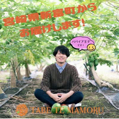 TABETEMAMORU～宮崎生まれの南国酵素スーパーフードスムージー～12本セット