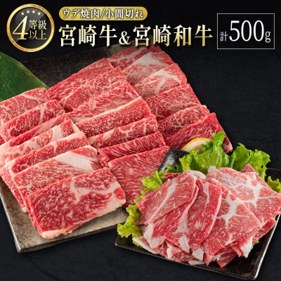 宮崎牛&宮崎和牛(ウデ焼肉/小間切れ)計500g【B561】(新富町)