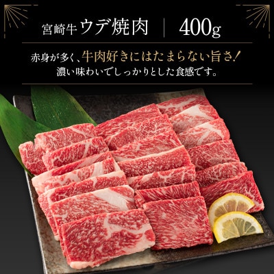 宮崎牛&宮崎和牛(ウデ焼肉/小間切れ)計500g【B561】(新富町)