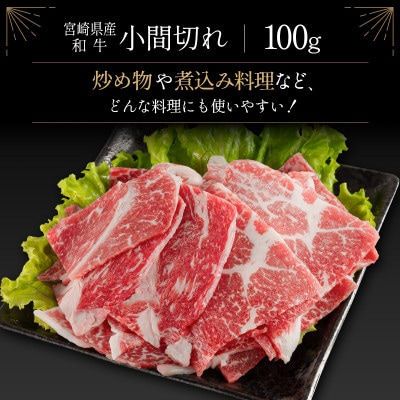 宮崎牛&宮崎和牛(ウデ焼肉/小間切れ)計500g【B561】(新富町)