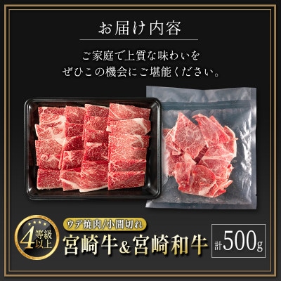 宮崎牛&宮崎和牛(ウデ焼肉/小間切れ)計500g【B561】(新富町)