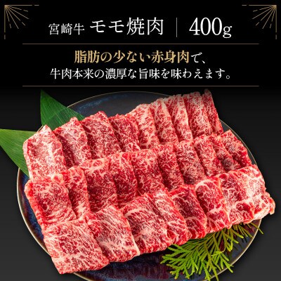 宮崎牛&宮崎和牛(モモ焼肉/小間切れ)計500g【B563】(新富町)