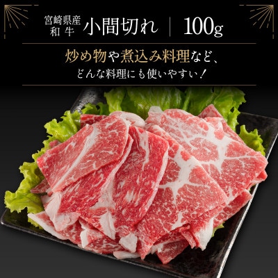 宮崎牛&宮崎和牛(モモ焼肉/小間切れ)計500g【B563】(新富町)