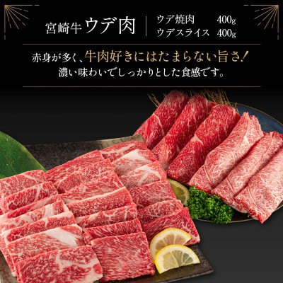 宮崎牛&宮崎和牛(ウデ肉/ウデスライス/小間切れ)計900g【C371】(新富町)