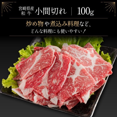 宮崎牛&宮崎和牛(モモ・肩ロース/小間切れ)計600g【C372】(新富町)