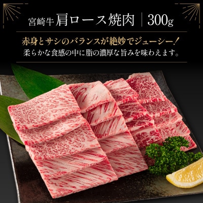 宮崎牛&宮崎和牛(ウデ・肩ロース/小間切れ)計900g【C373】(新富町)