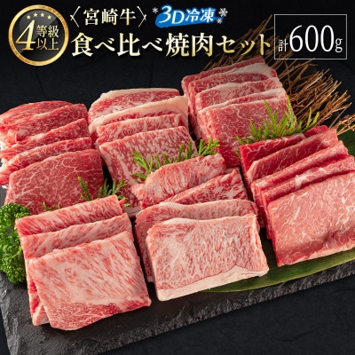 ≪3D冷凍≫宮崎牛食べ比べ焼肉セット(100g×6種類)【C349】(新富町)