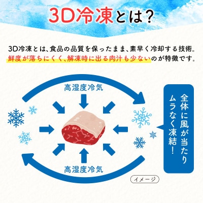 ≪3D冷凍≫宮崎牛食べ比べ焼肉セット(100g×6種類)【C349】(新富町)