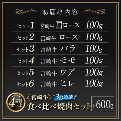 ≪3D冷凍≫宮崎牛食べ比べ焼肉セット(100g×6種類)【C349】(新富町)