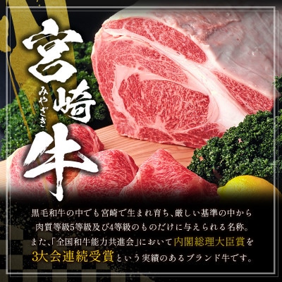 ≪3D冷凍≫宮崎牛食べ比べスライスセット(100g×6種類)【C350】(新富町)